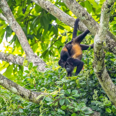 Costa Rica